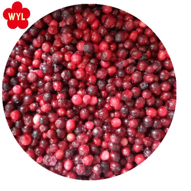Good quality of frozen cranberry for hot sales