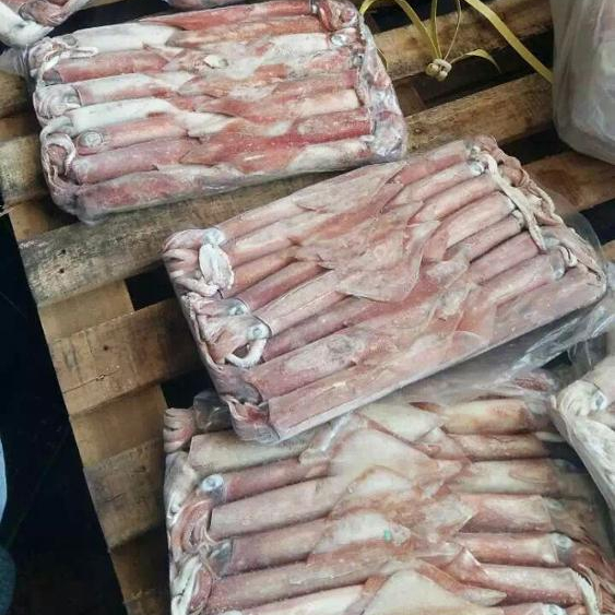 Новое поступление, высокое качество, замороженный красный кальмар lолиго