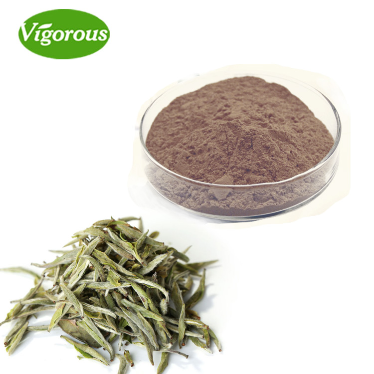 Camellia sinensis экстракт/белый чай порошок экстракт/90% полифенолы экстракт белого чая