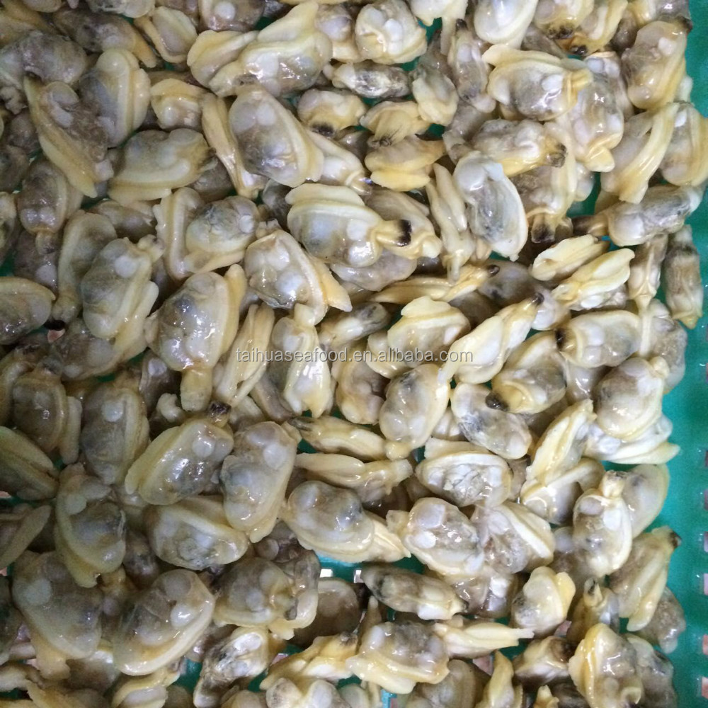 Замороженные моллюски IQF без скорлупы от китайского поставщика морепродуктов