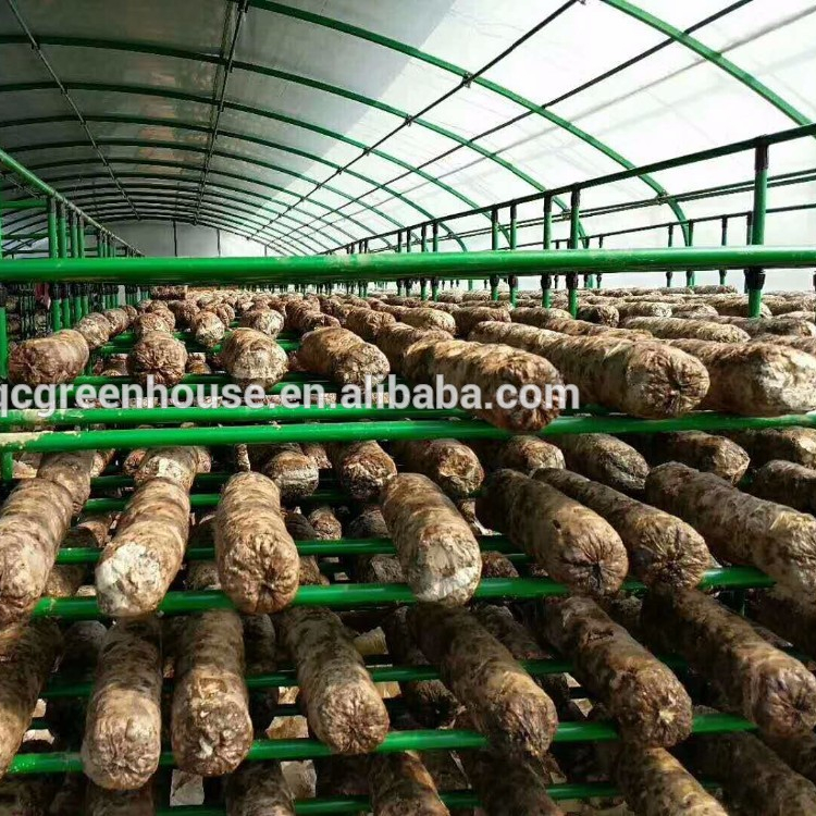Сельскохозяйственная теплица для выращивания грибов