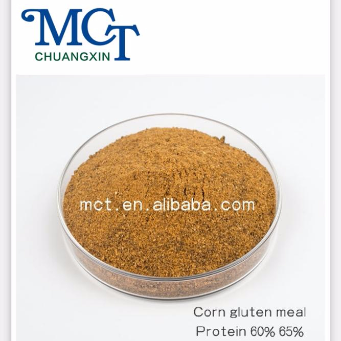 Corn gluten meal 60% for animal feed