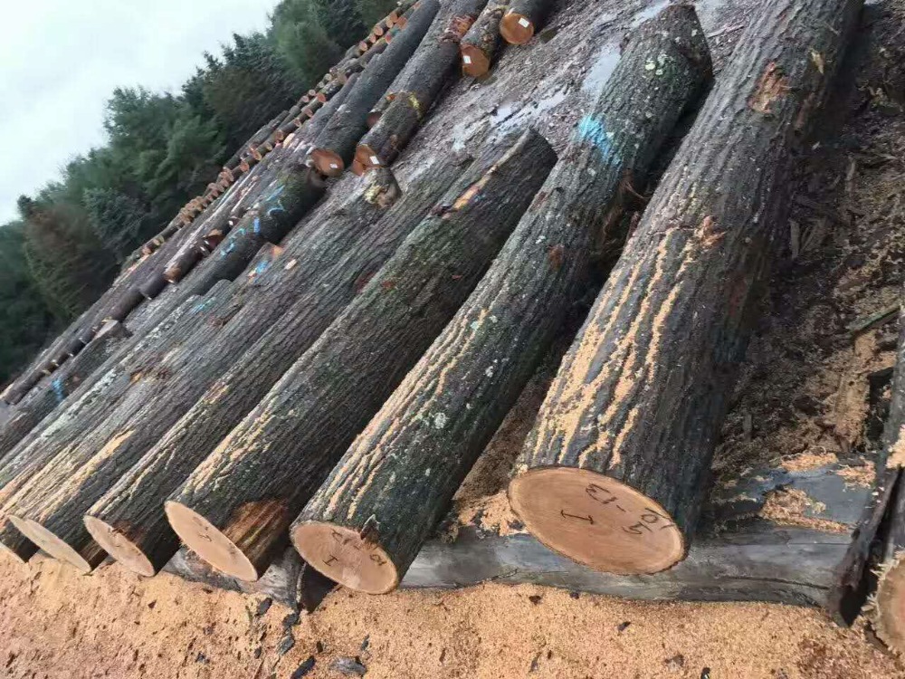 Цена на деревянные бревна из дуба/Лучшие Деревянные бревна из дуба