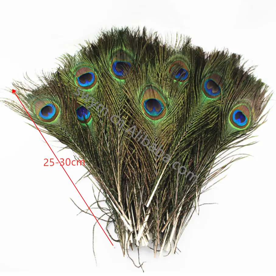 Best Price Natural Peacock Tail Feathers 10-12in Peacock Feather