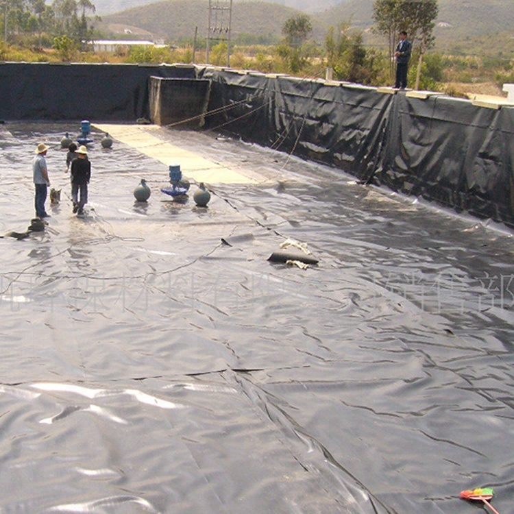 Пластиковые Рулонные листы для пруда, недорогие hdpe геомембраны