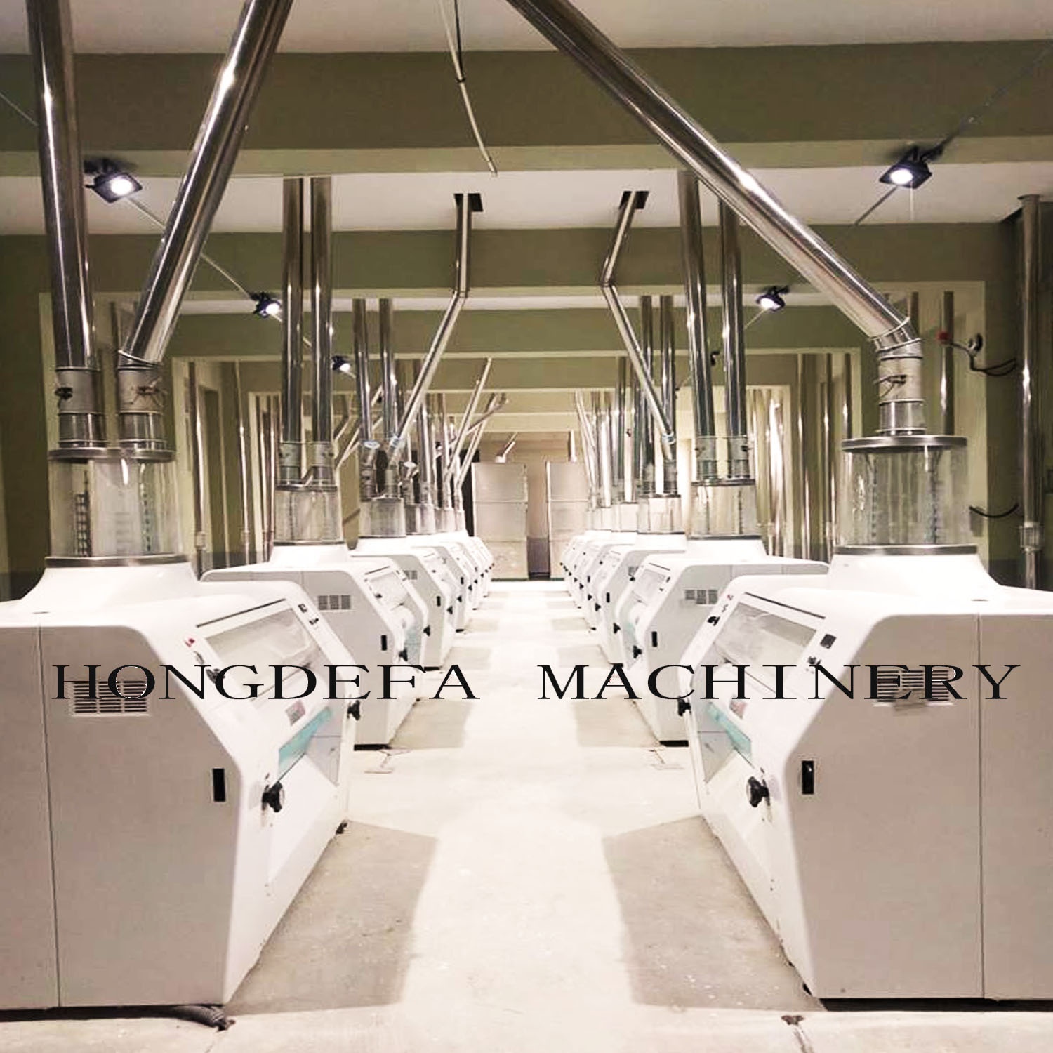 PLC control 300t/24h make bakery flour, bread wheat flour milling plant