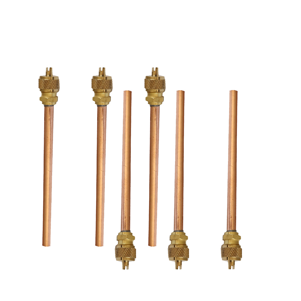 valve Type and RoHS Certification check access valve