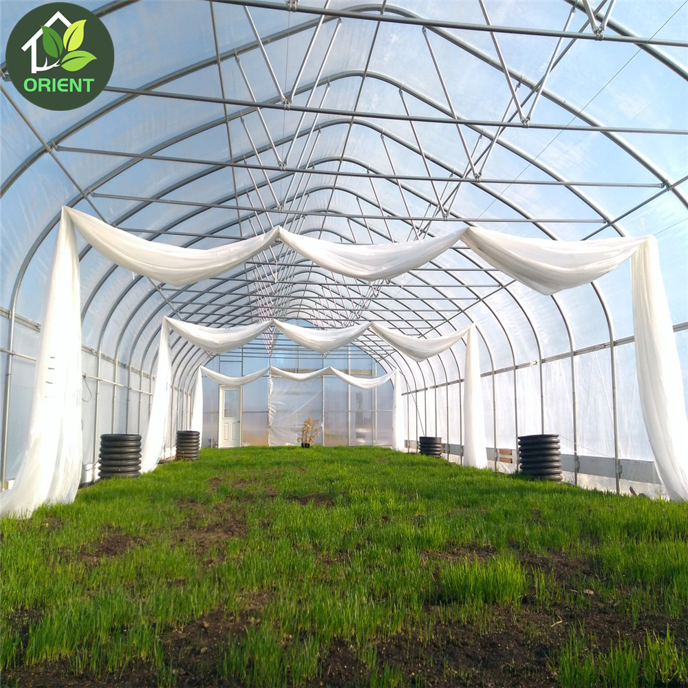 Vegetable Greenhouse Technology For Agriculture