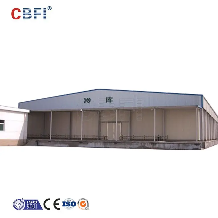 warehouse construction ammonia freezer cold storage room for fish and meat