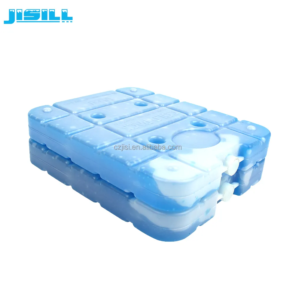 Customize Phase Change Material PCM Frozen Food Ice Brick