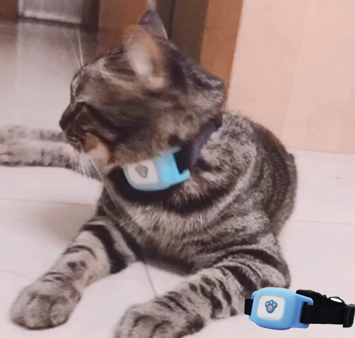 gps ошейник для кошек цена