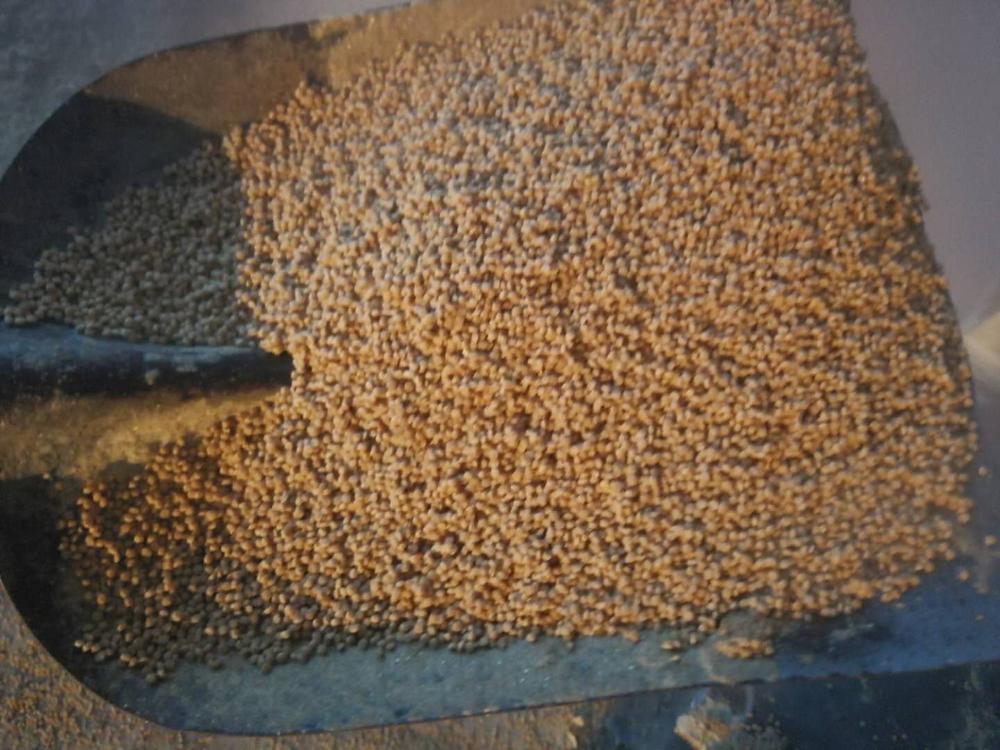 30-40KG/h Floating fish feed pellet machine//single screw extruder