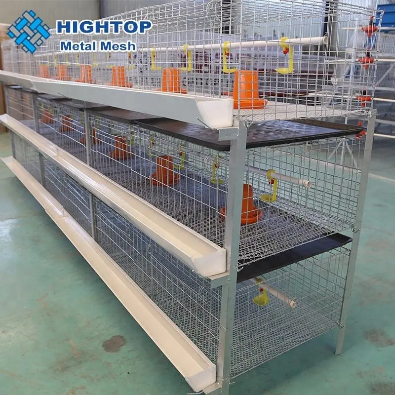 120 birds 2m poultry cage for sales for broiler chicken
