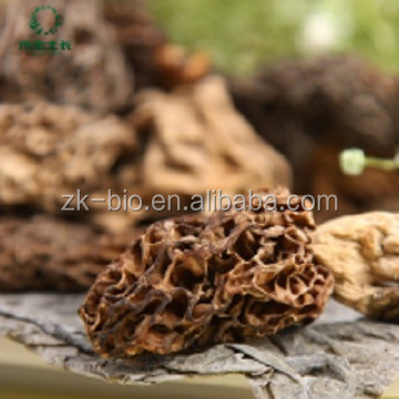 Органический сушеный гриб agaricus blazei