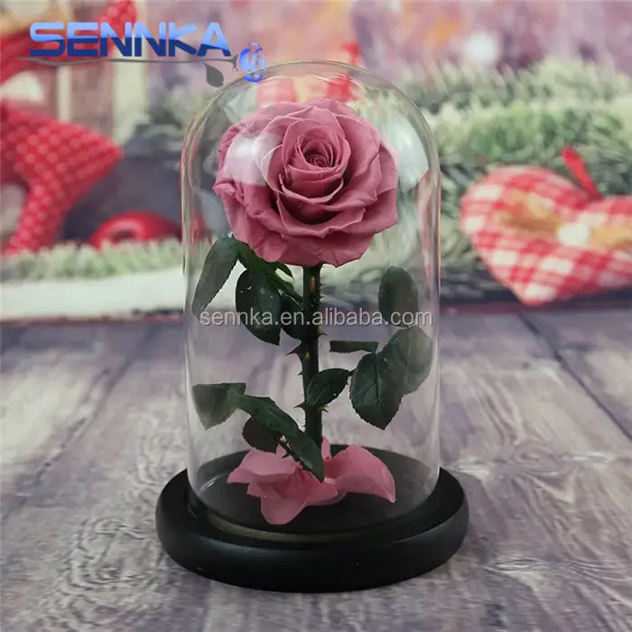 Cheap Wholesale Real Natural Preserved Rose In Glass