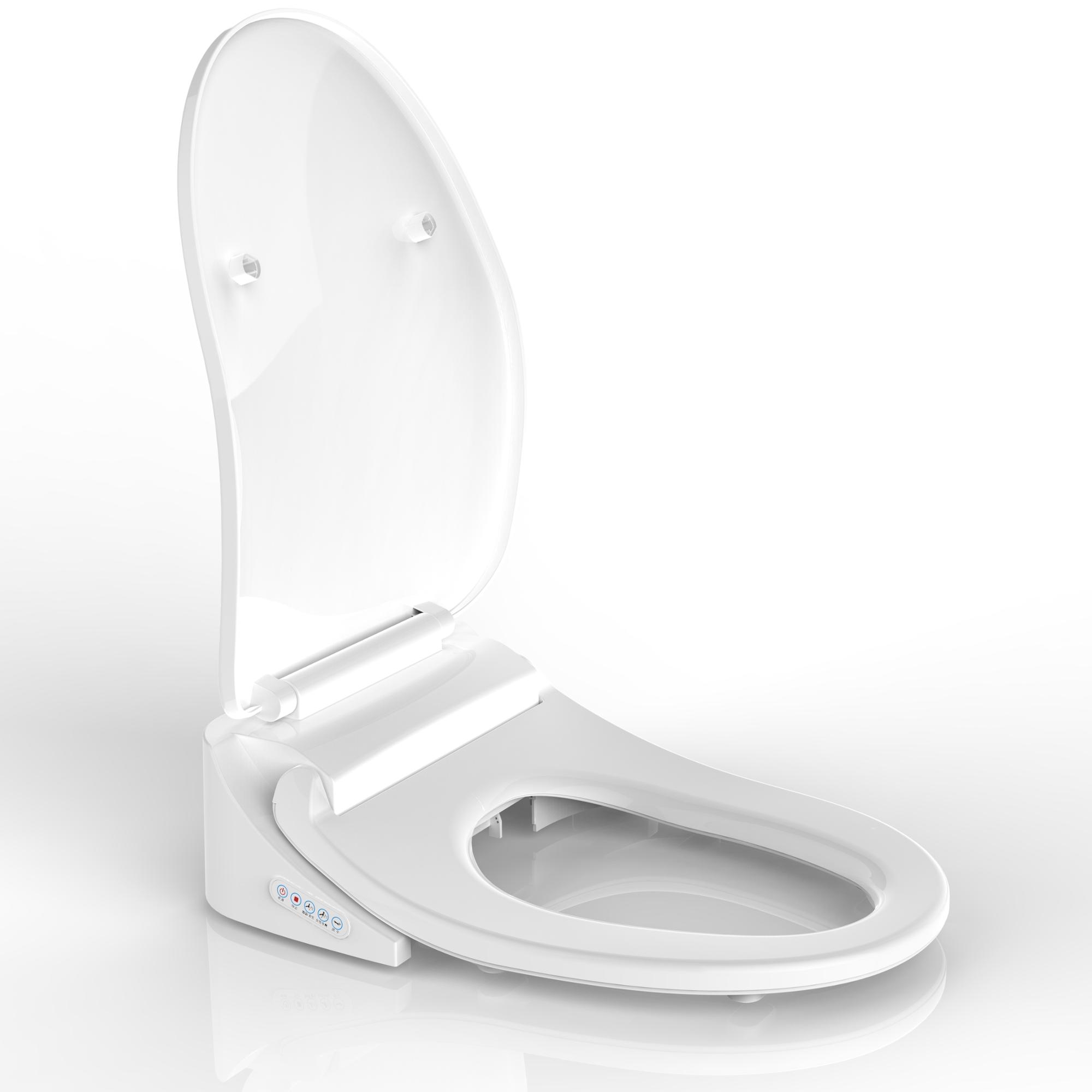 Intelligent watermark self cleaning electronic bidet
