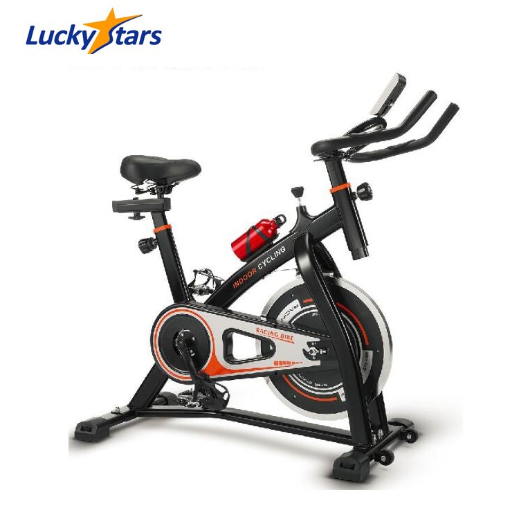 Luckystar Fitness Club Belt Drive Body Fit Exercise Bike