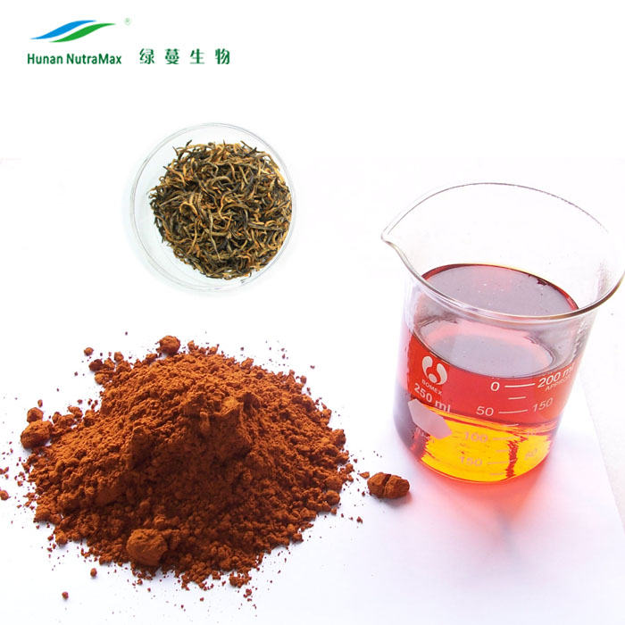 GMP factory Instant black tea powder Instant black tea extract powder polyphenols 20%30%40%