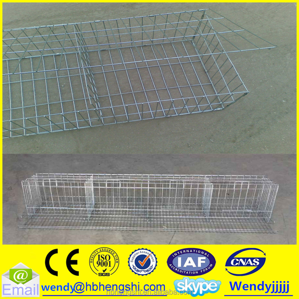 Дешевые Оцинкованная сварная сетка для Bird Cage/кролика/клетка животная клетка