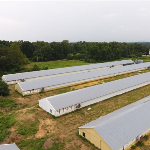 Low Cost Steel Structure Broiler Poultry Farm Shed Design
