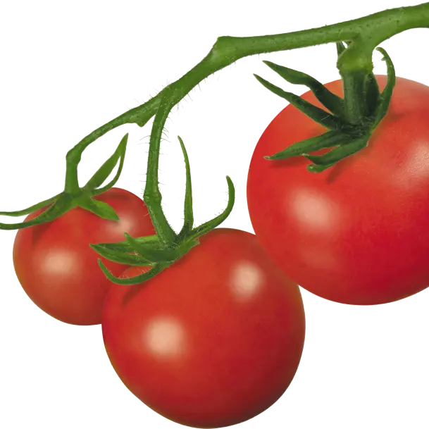 томатная паста 36-38% и 28-30% с хорошим качеством из Китая