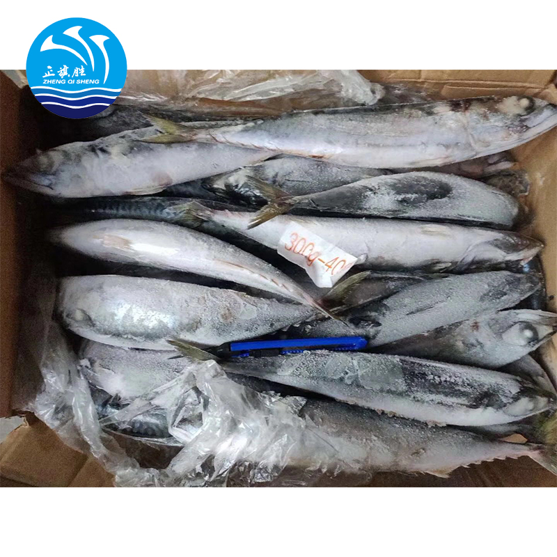 300-500 г, низкая цена, новая рыба, свежая морская замороженная Тихоокеанская скумбрия
