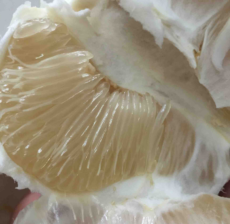 2019 новый урожай меда pomelo