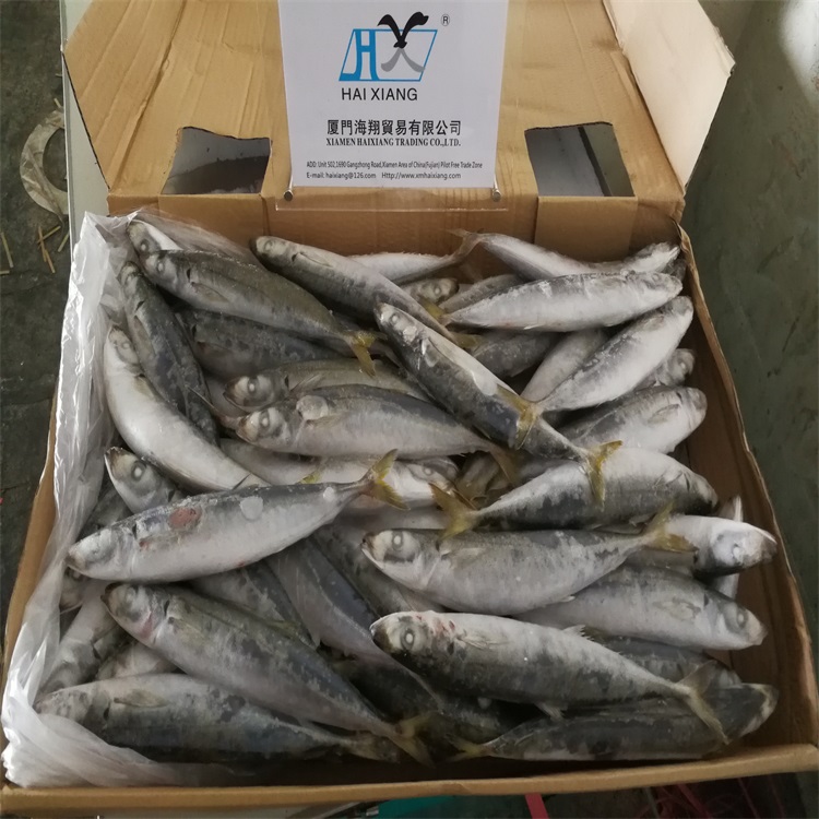 Оптовая продажа дешевые морепродукты скумбрия рыба круглый scad