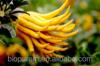 Bergamot extract powder, 10:1 20:1 50:1