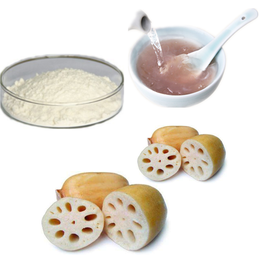 Корень лотоса P.E.
