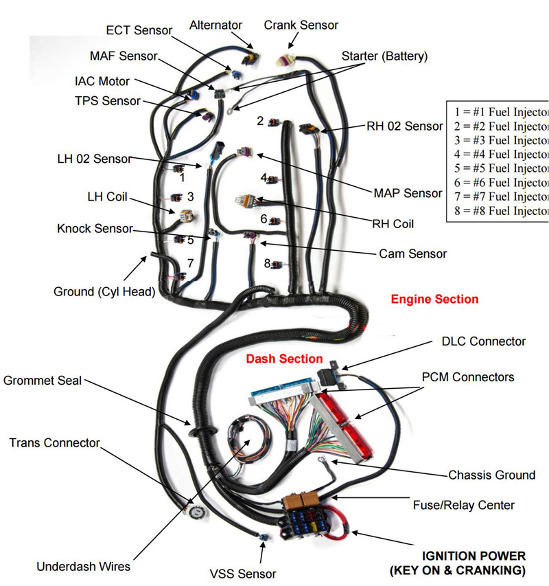 Жгут проводов GM EFI 1997-2002 LS1/LSX, автономные жгут проводов с поддержкой 4L60E (DBC) или T56