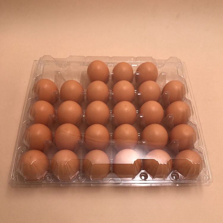 Xiamen xiefa 4X5 = 20 шт. инкубатор перепелиное яйцо лотки