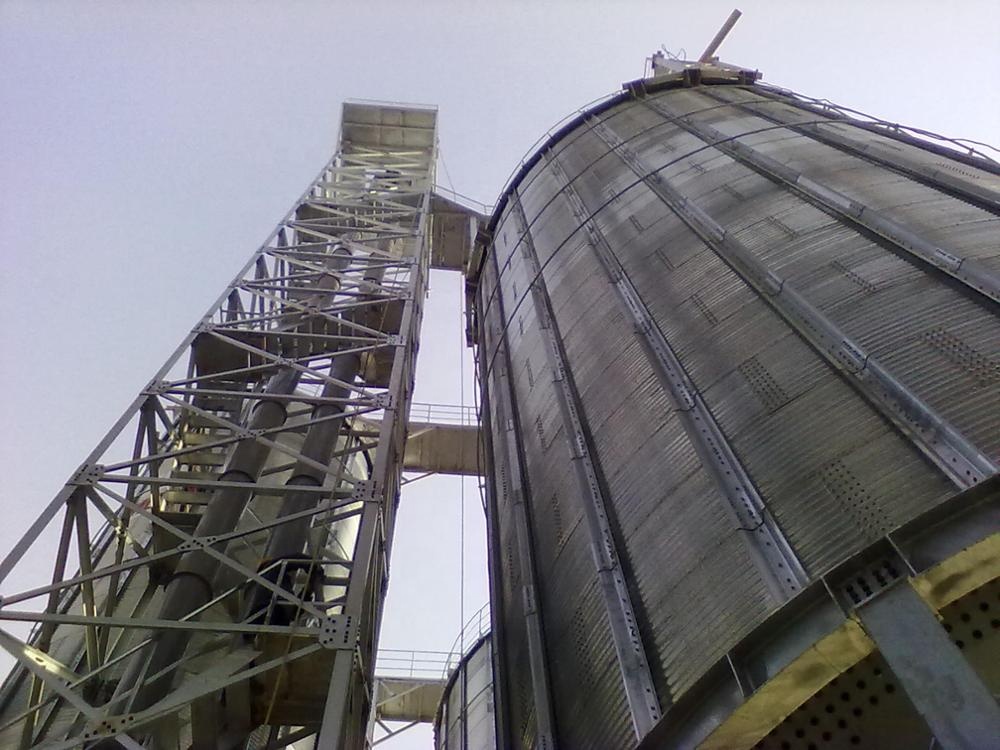 1000 тонн пшеничного зерна силос с ценой