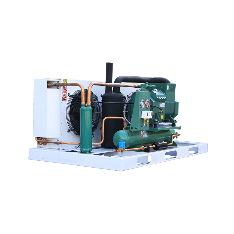Air Cooled 3hp 5hp 7hp 8hp 10hp 15hp 25hp 30hp Bitzer Condensing Unit Refrigeration Compressor Unit