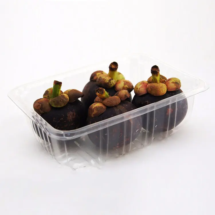 Transparent Salad Container Plastic Blister Packing Fruit Insert Tray For Supermarket