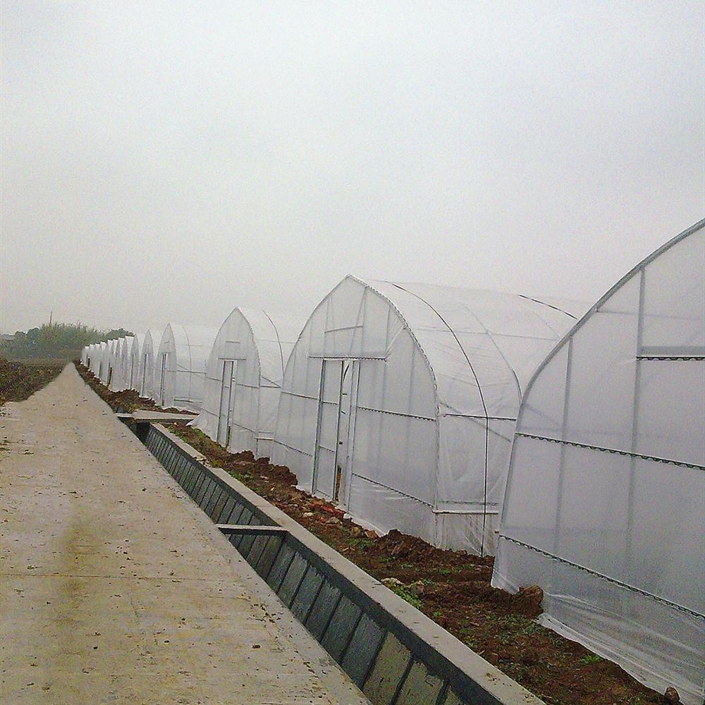 Single Span Reinforced Plastic Film Tunnel Greenhouse for Horticultural Farming