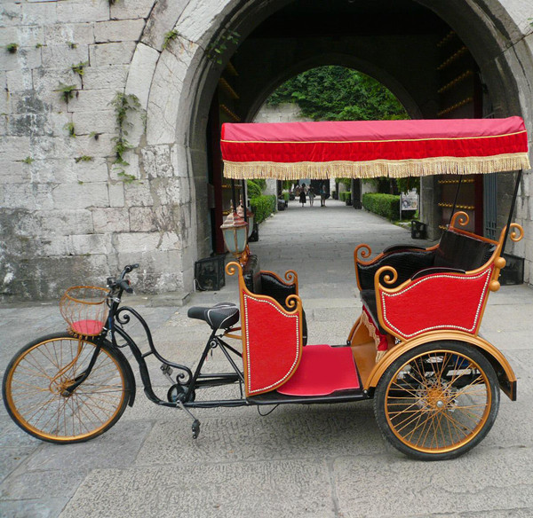 Electric rickshaw