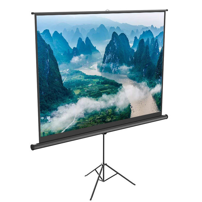 Горячая Распродажа 100 дюймовый HD портативный штатив проектор экран