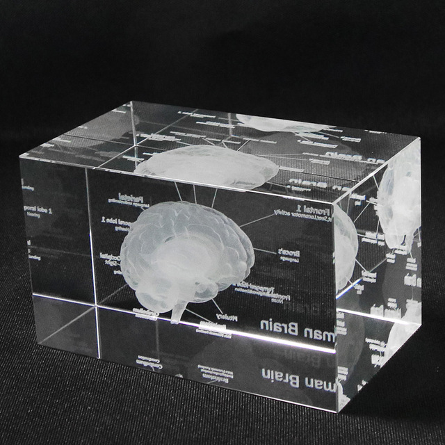 3D лазерная гравировка, дизайн мозга, анатомическая модель, пресс-папье в кристаллах, стеклянный куб, научный подарок