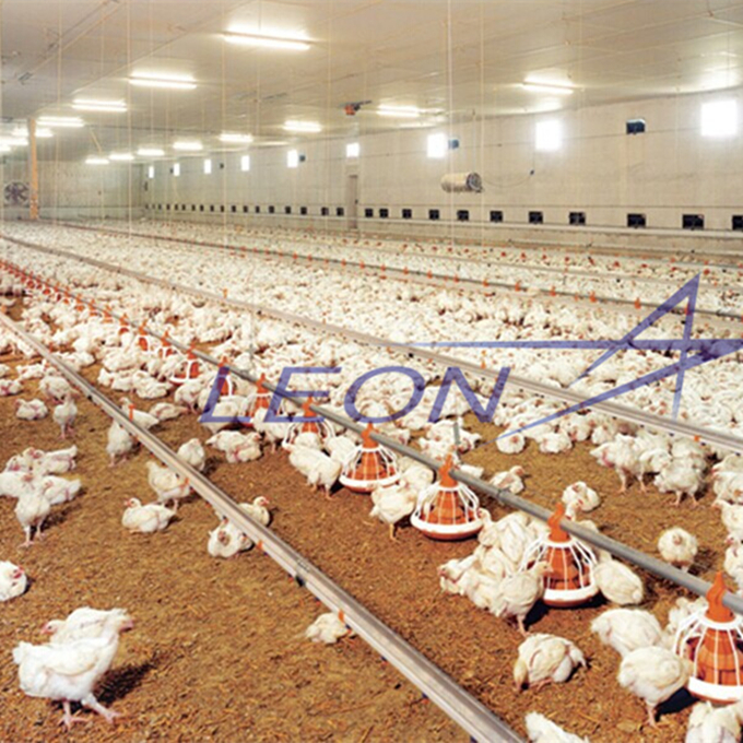 Leon series poultry farm feeding and drinking system