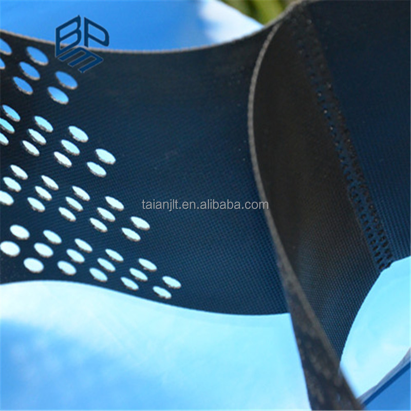 Высокая прочность перфорированные текстурированные HDPE geocell веб-