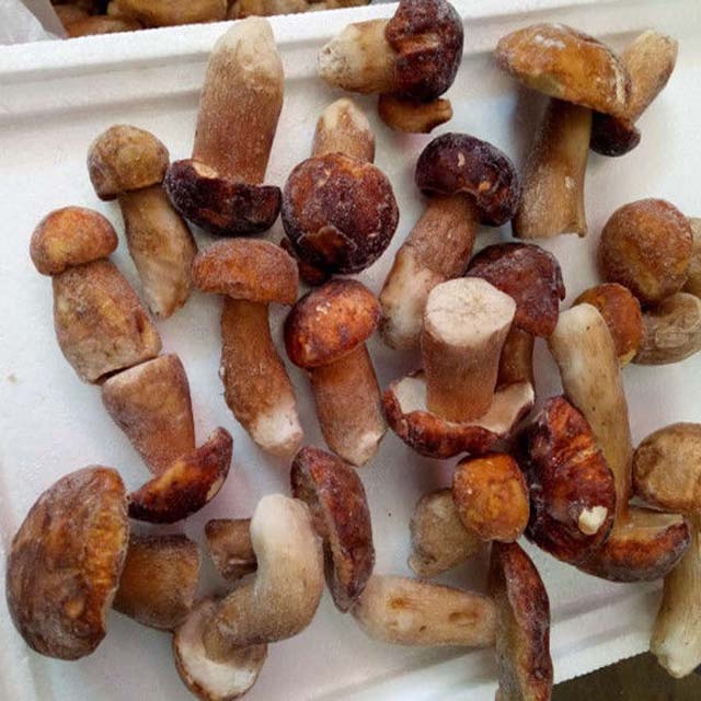 Оптовая продажа, Китайский замороженный Boletus Edulis хорошего качества IQF