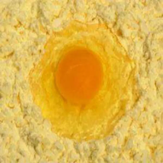 GMP Standard High Quality Egg Yolk Powder