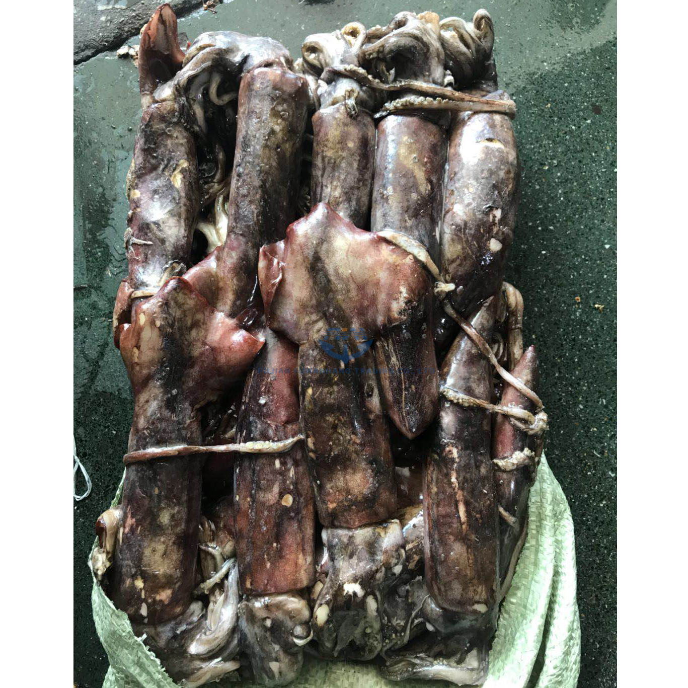 Низкая цена замороженный черный кальмар sthenoteuthis oualaniensis для продажи