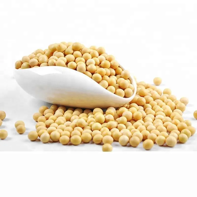 High quality soya beans yellow soybean soybean supplier