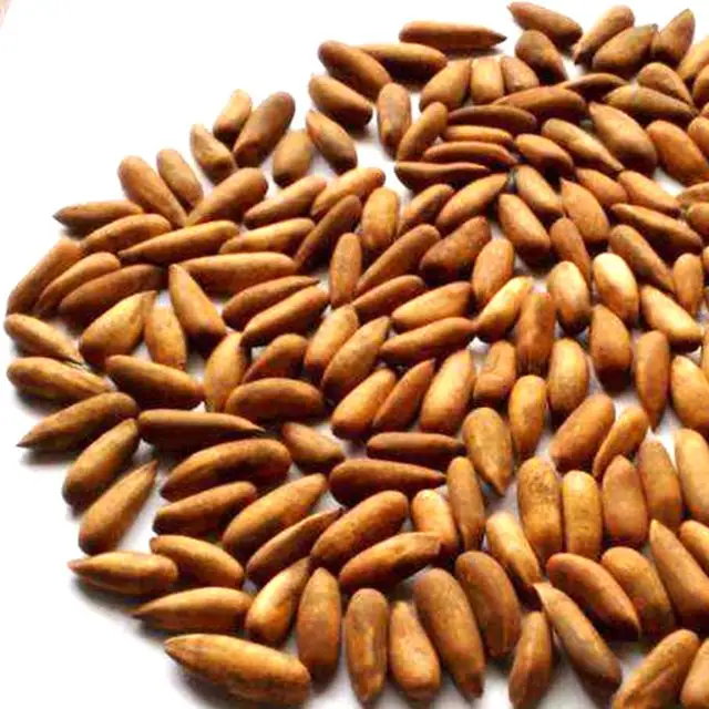hot sale high quality customized Pine nut