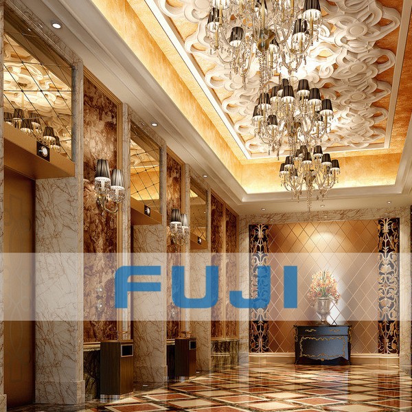 FUJI хорошая цена лифт с пожарный функция возврата
