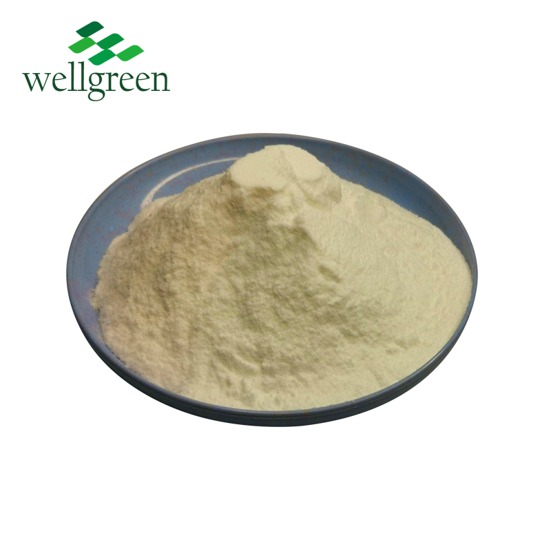 WELLGREEN Citrus Pectin 9000-69-5 for Cosmetic Raw Material