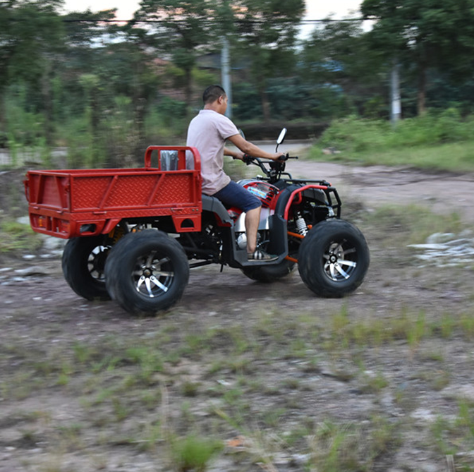 200CC 250CC газ Дизель Электрический квадроцикл с CE и EEC для рынка Европы