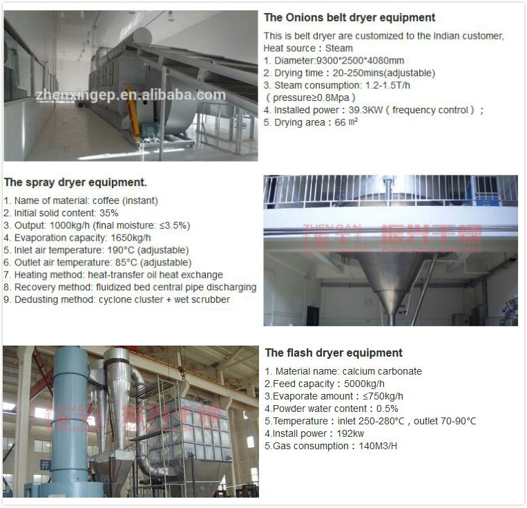 High quality Chinese manufacture water sludge Hollow paddle dryer
